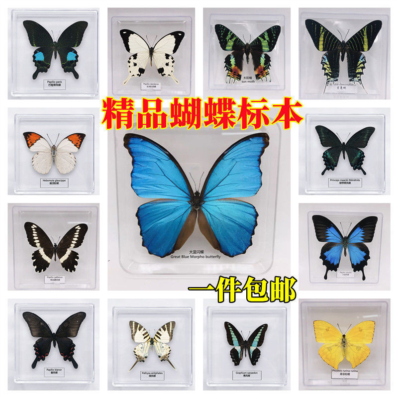 1e5a20f0-3155-4be0-b25b-feefa1392ada.jpe
