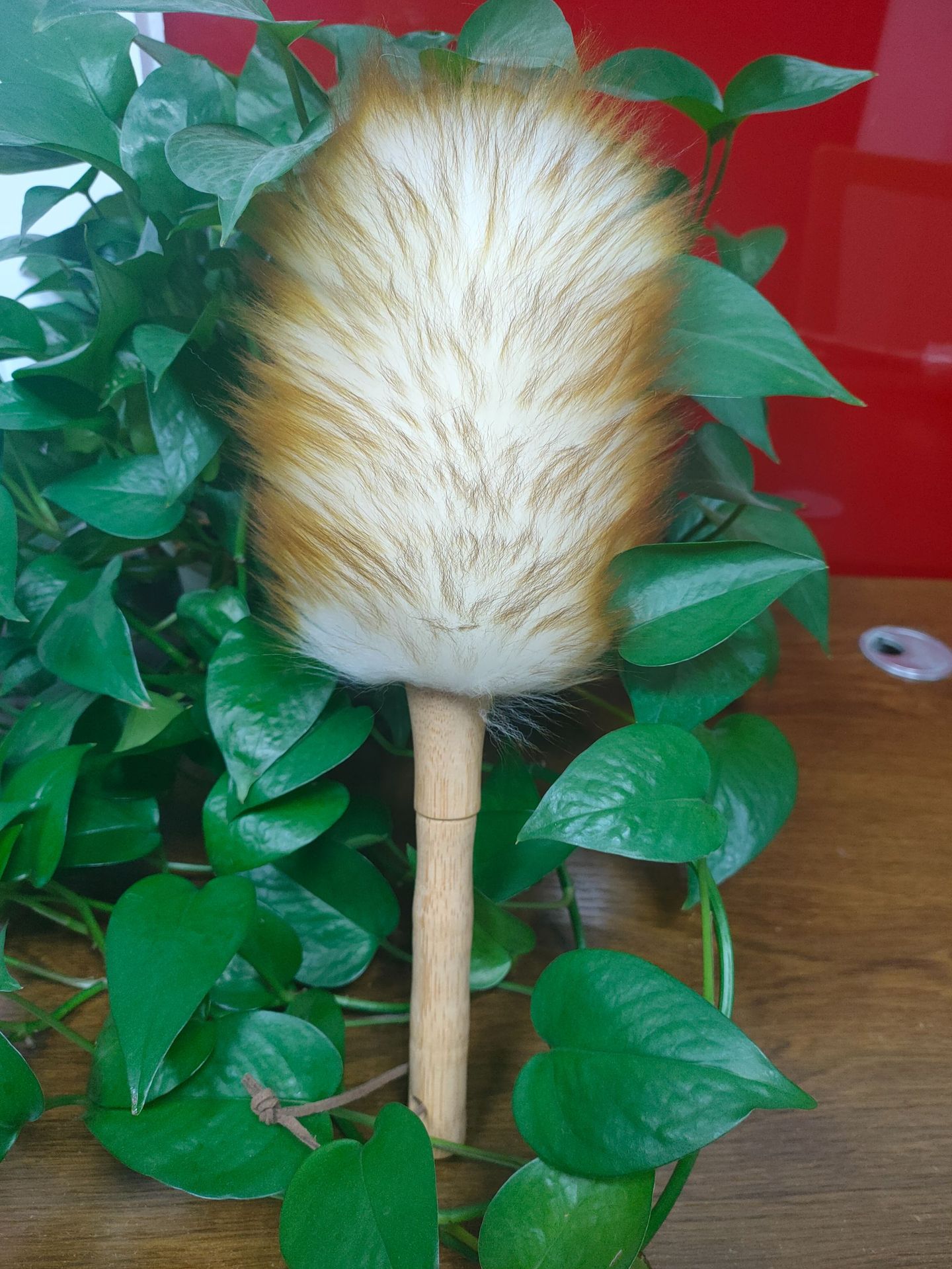 微信图片_20240306103622