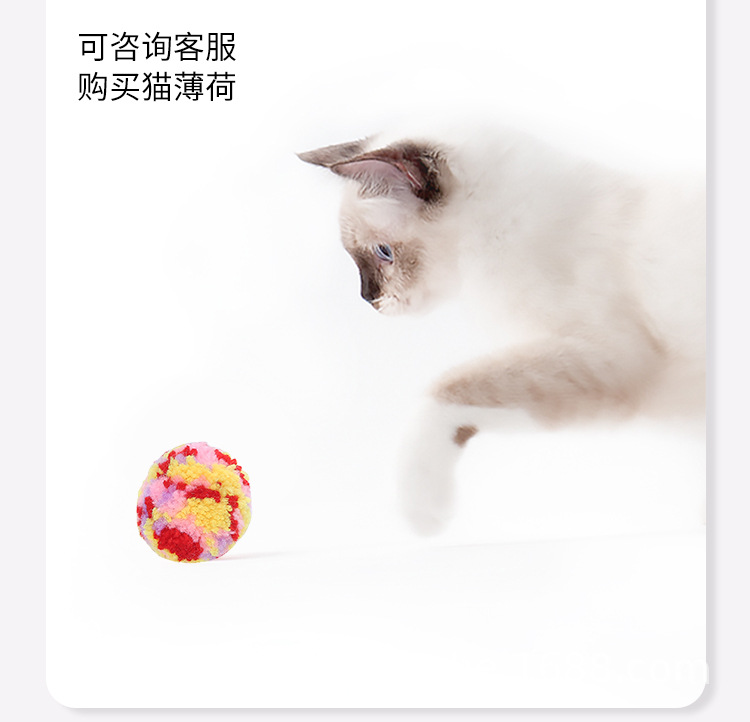 详情_03.jpg