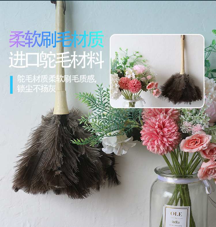 8708e800-9ddb-4a26-98b9-7545044cab18.jpe