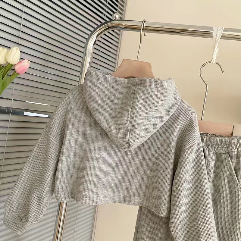 微信图片_20230830143048_1