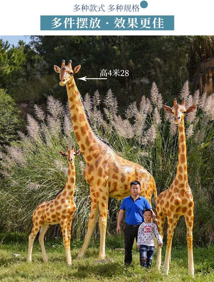 2 拷贝.jpg