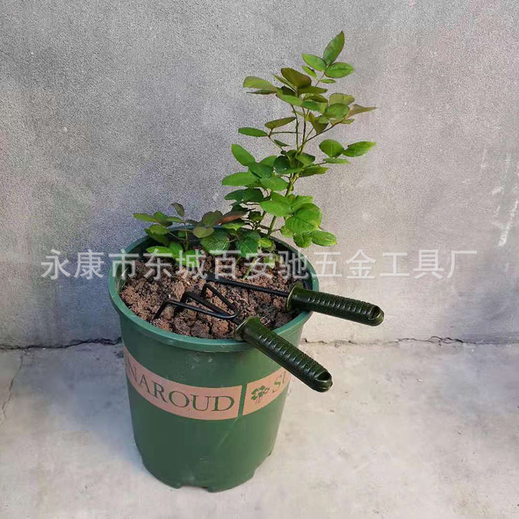 4件套3