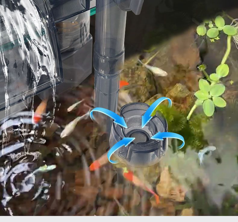 9e9efcfb-ec61-47b7-b84e-58ffc5db0121.jpe