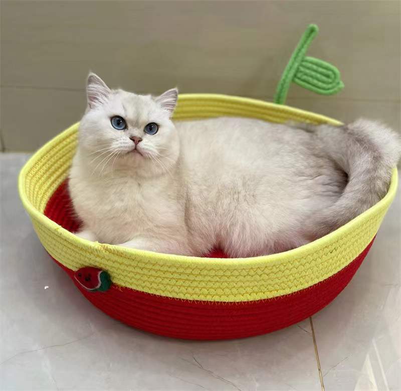 微信图片_20220707092608