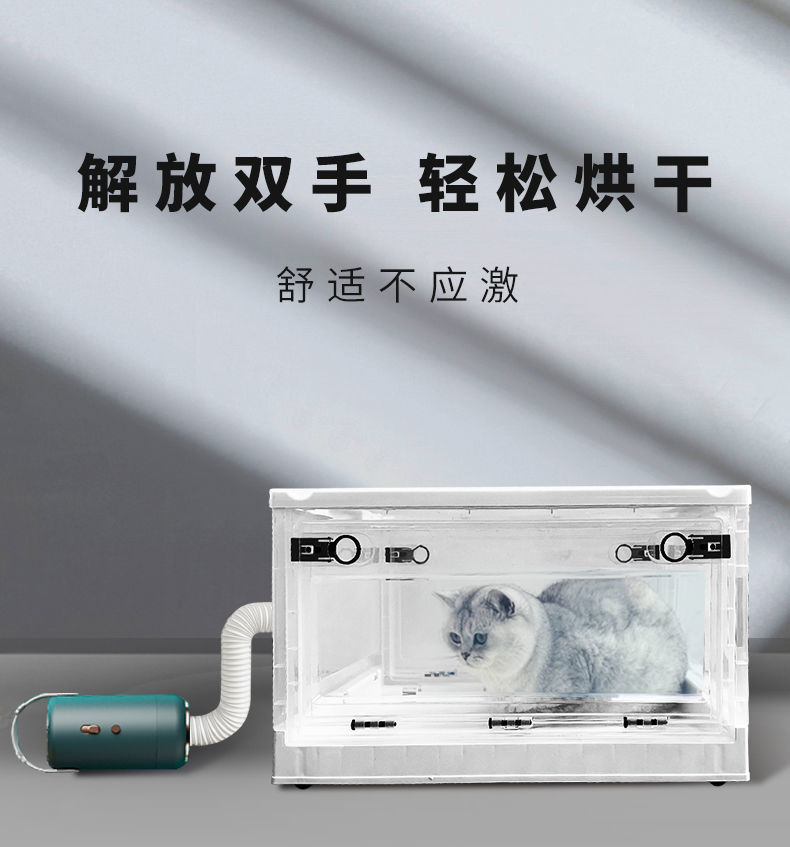 a29f445a-b4da-43b4-92bc-1e9b69665625.jpe