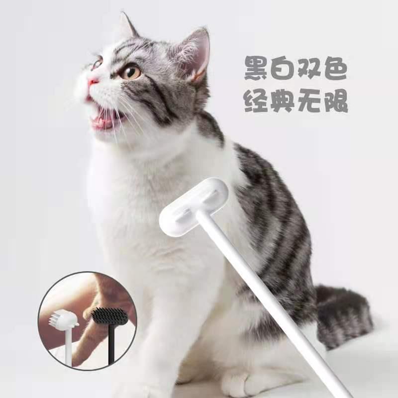 一键复制_20220805190846