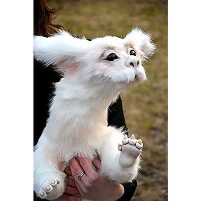 O1CN013yPIIv2134dJnRBuo_!!2240