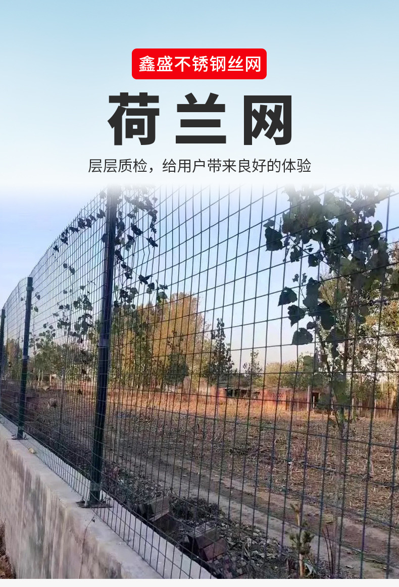 详情_02.jpg