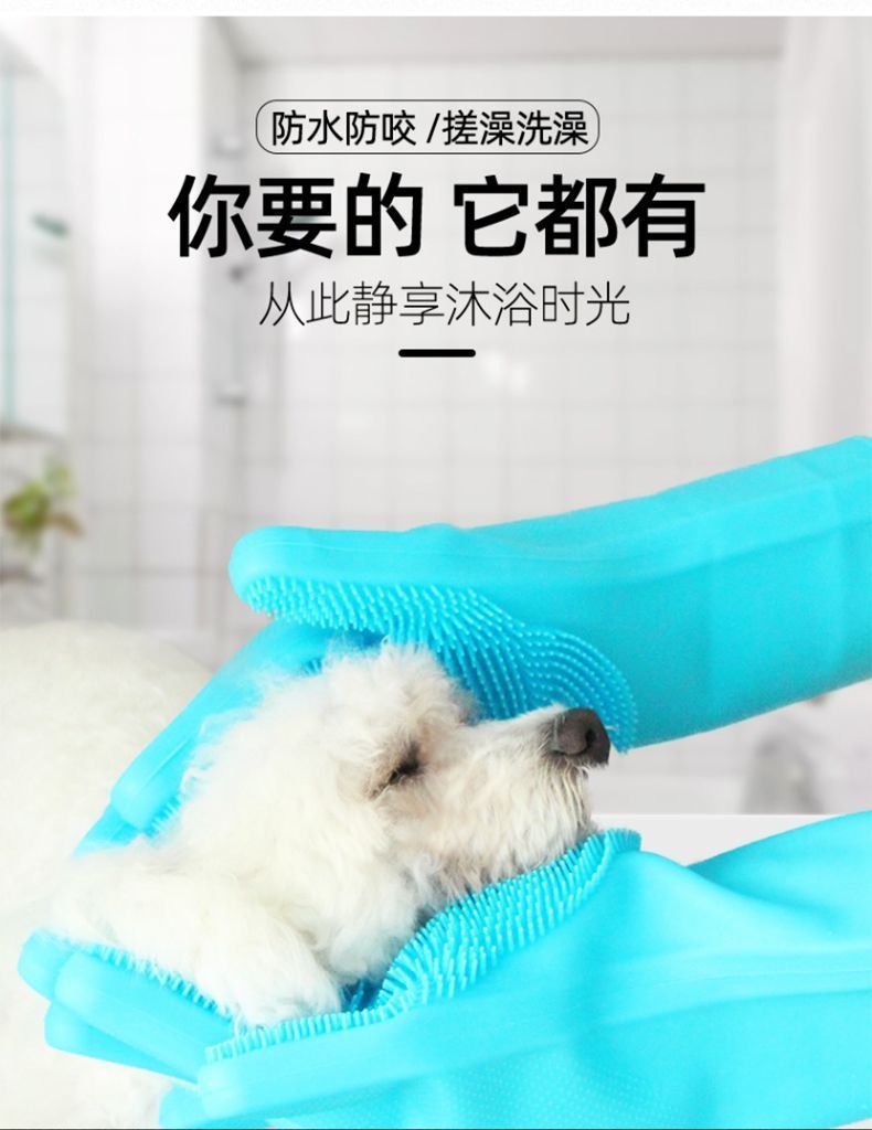 547c5302-8e6b-4869-af41-9acafa9a1d8c.jpe