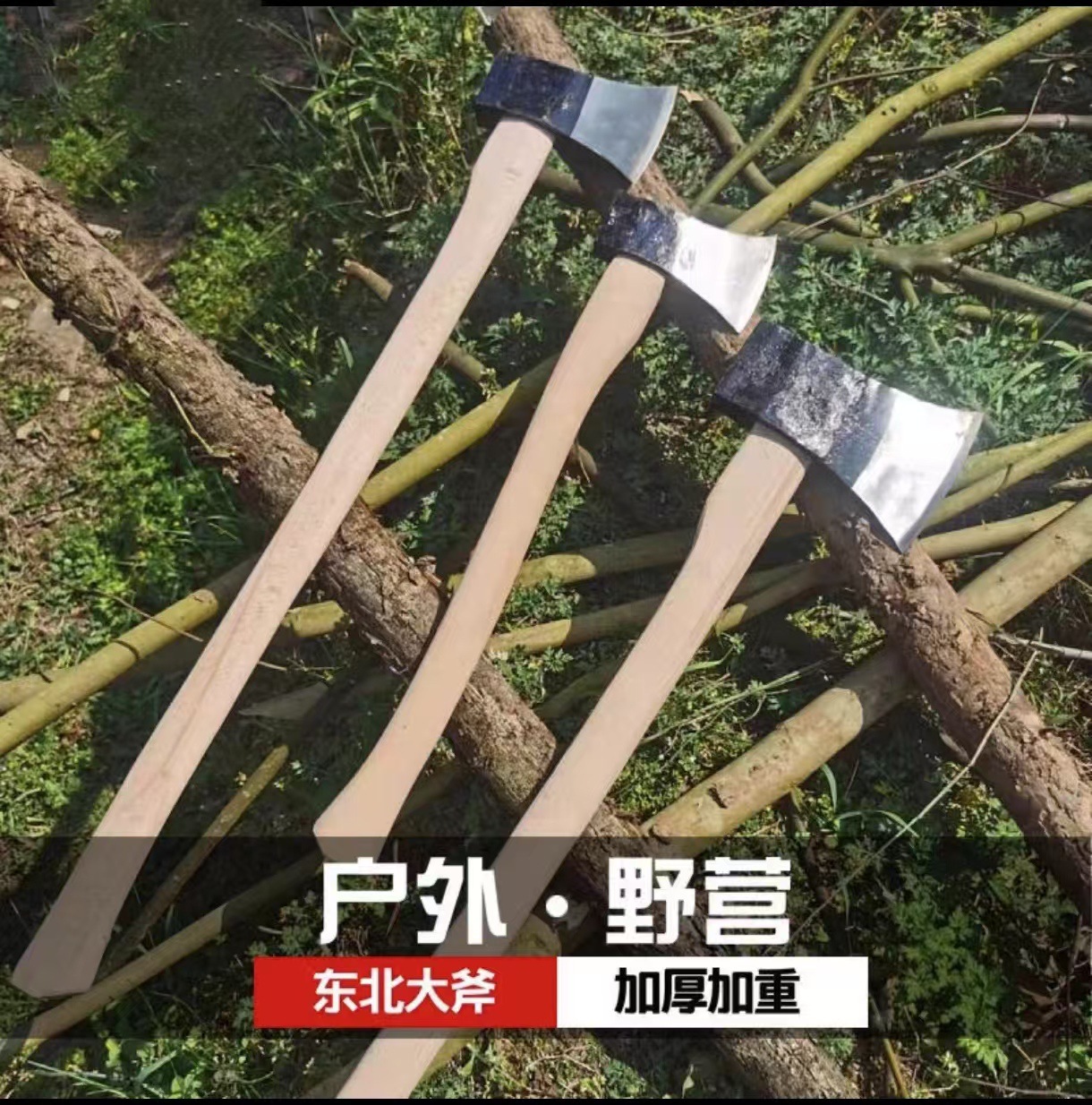 微信图片_20241224142315