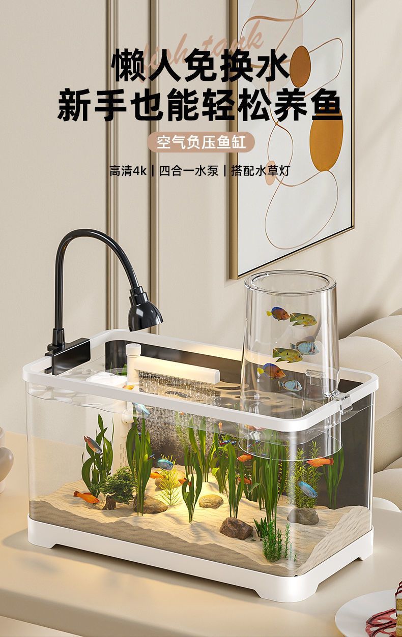 45dc5d72-f46c-4ce2-8694-989383e54eae.jpe