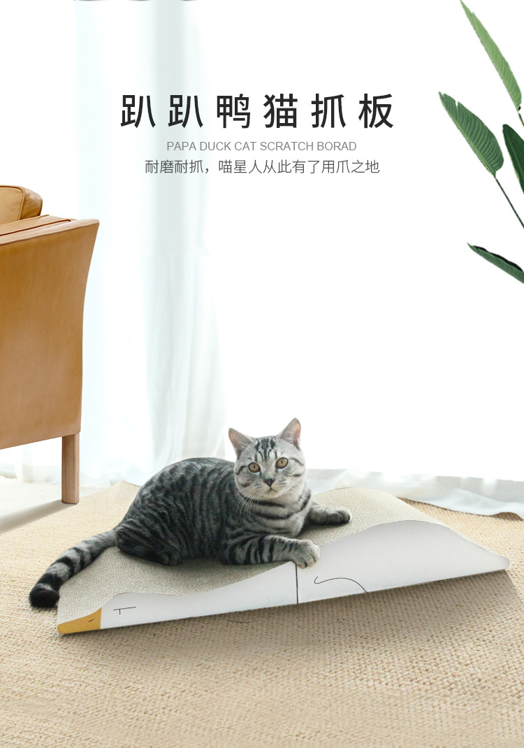 1.主页图 拷贝.jpg