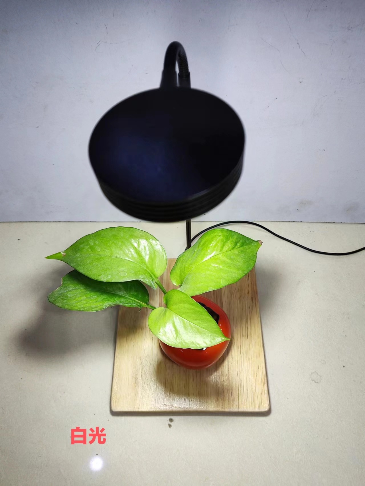 微信图片_20230108215307