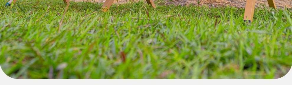 0c73d133-5154-4465-82c2-add8d80200fa.jpe