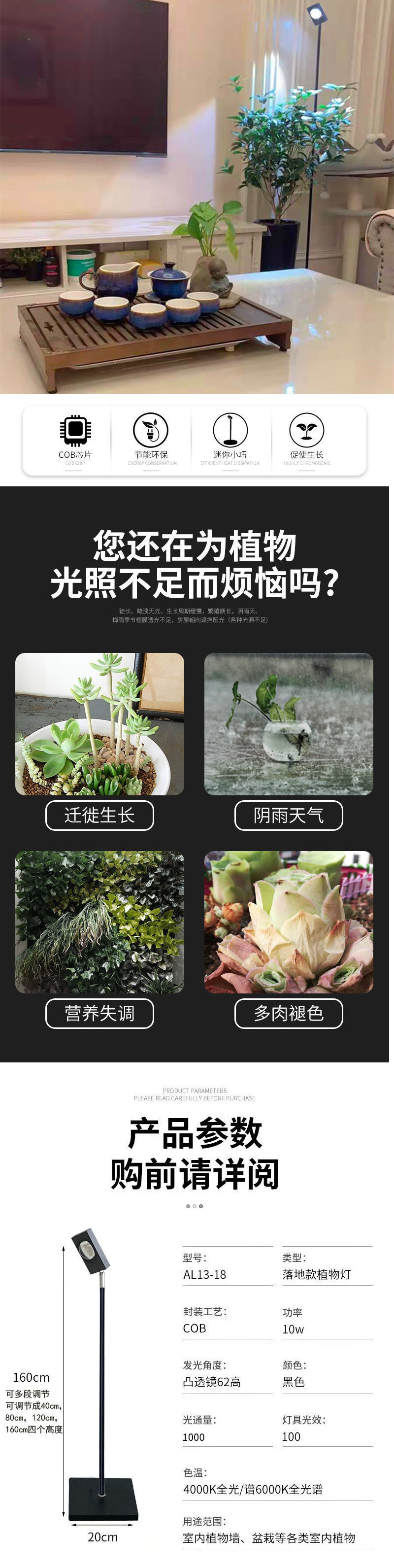 f325155c-fcc8-4124-82d2-4152022f2993.jpe