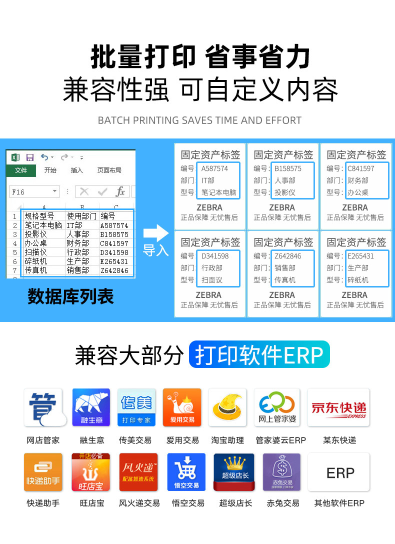 斑马_13.jpg
