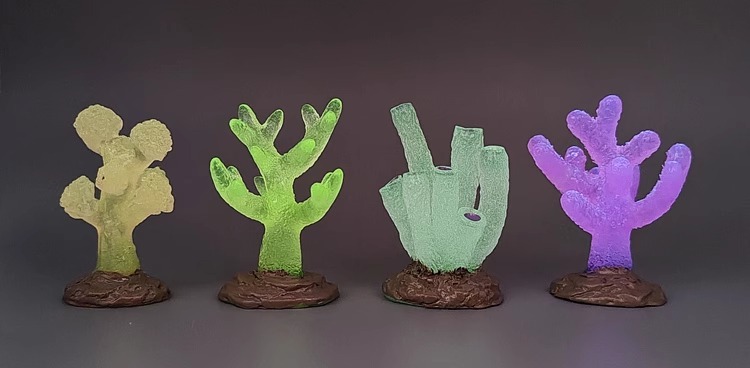 b8b20d5b-d8fc-4c71-ad22-03bd7577447e.jpe