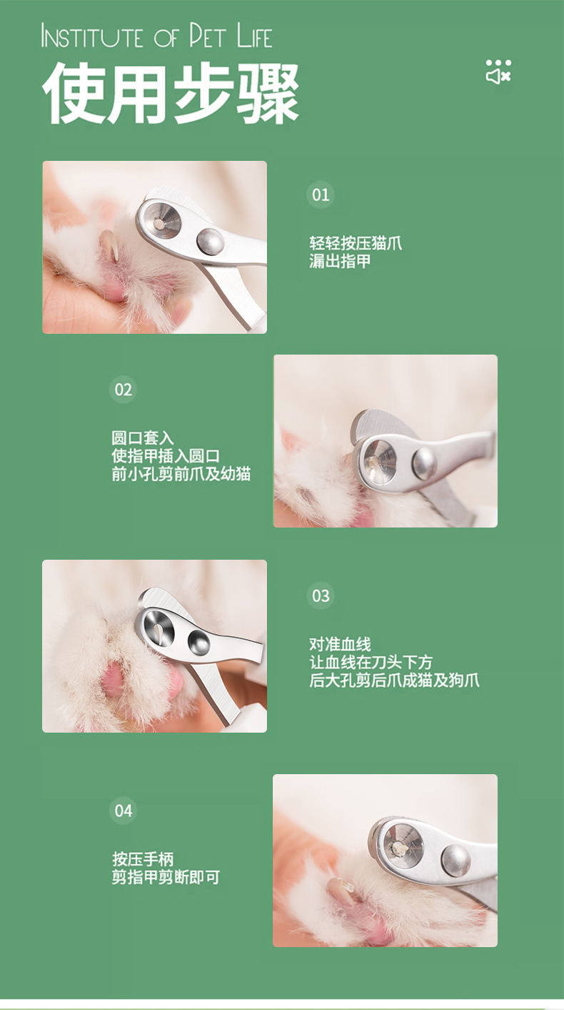 0ecd42f8-6460-46a4-a8d6-4e1ac130cdfc.jpe