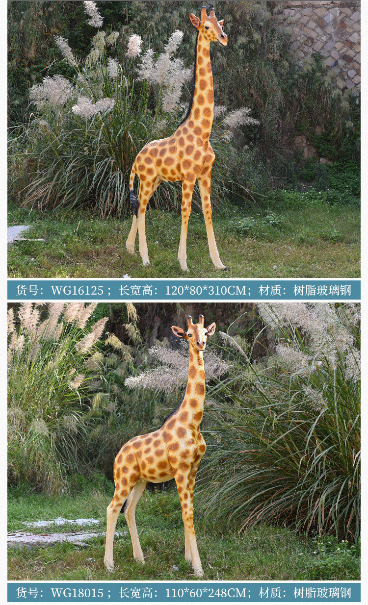 6 拷贝.jpg