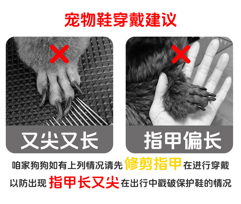 27e67721-a413-47dc-91b4-d1d2b79d2aaf.jpe