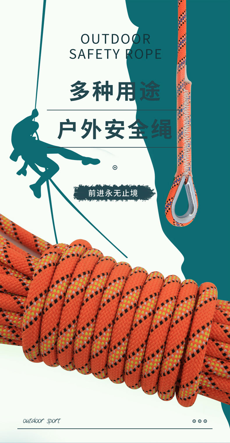 详情 (1).jpg