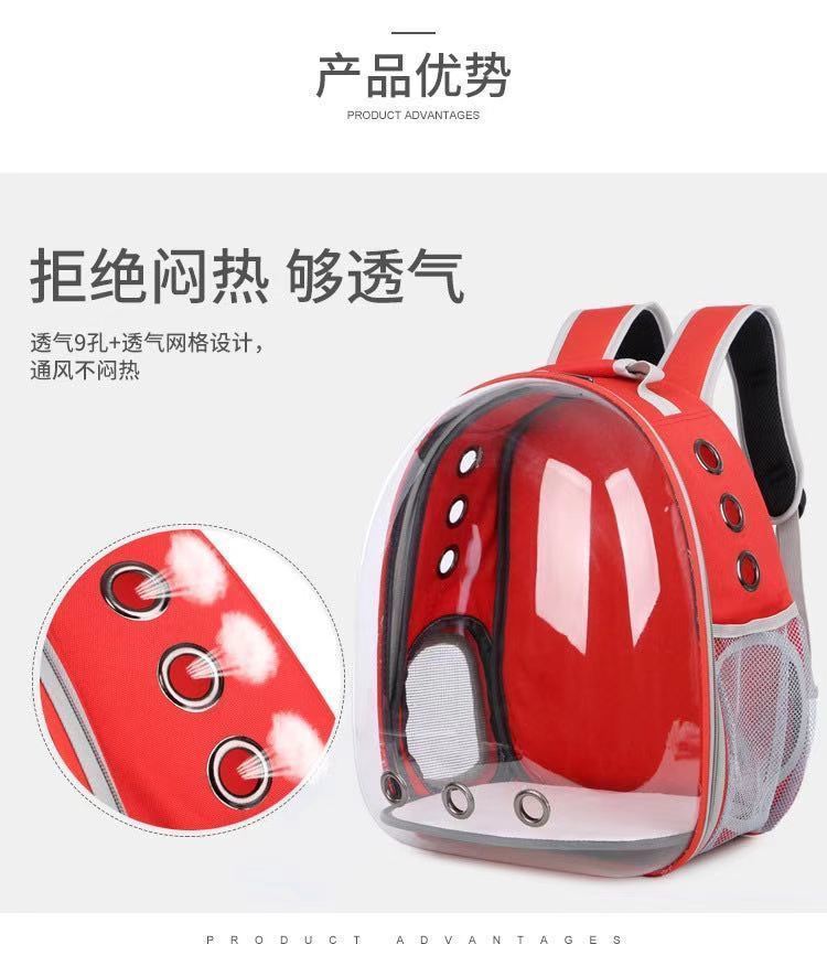 bb33806d-d462-40ca-bb83-05820628a77e.jpe