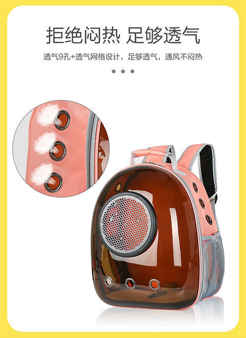 e6a24705-5175-41db-9427-b75b239dddf7.jpe