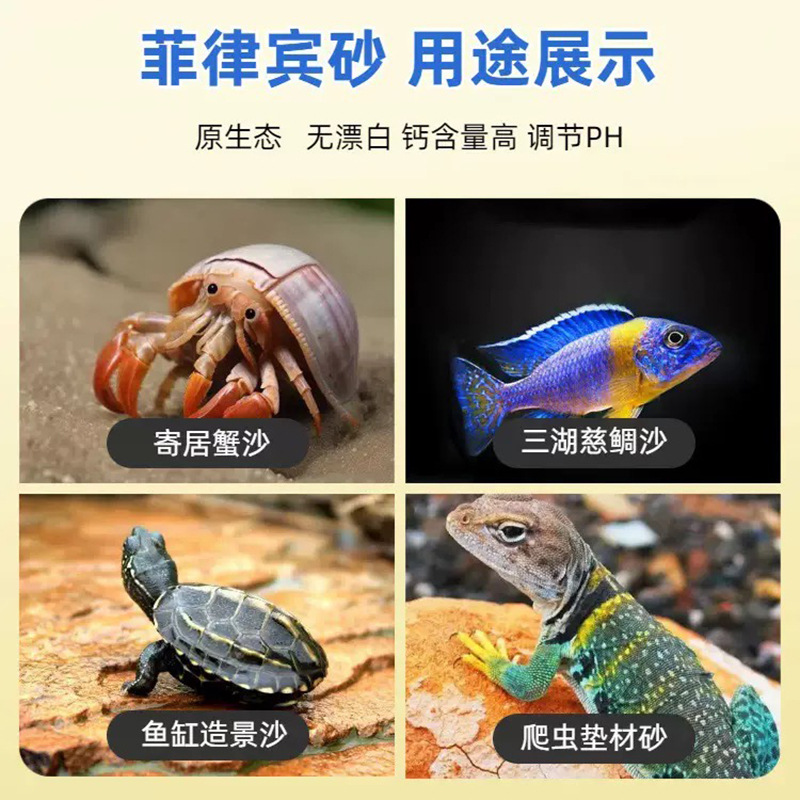 微信图片_20250729110352.jpg