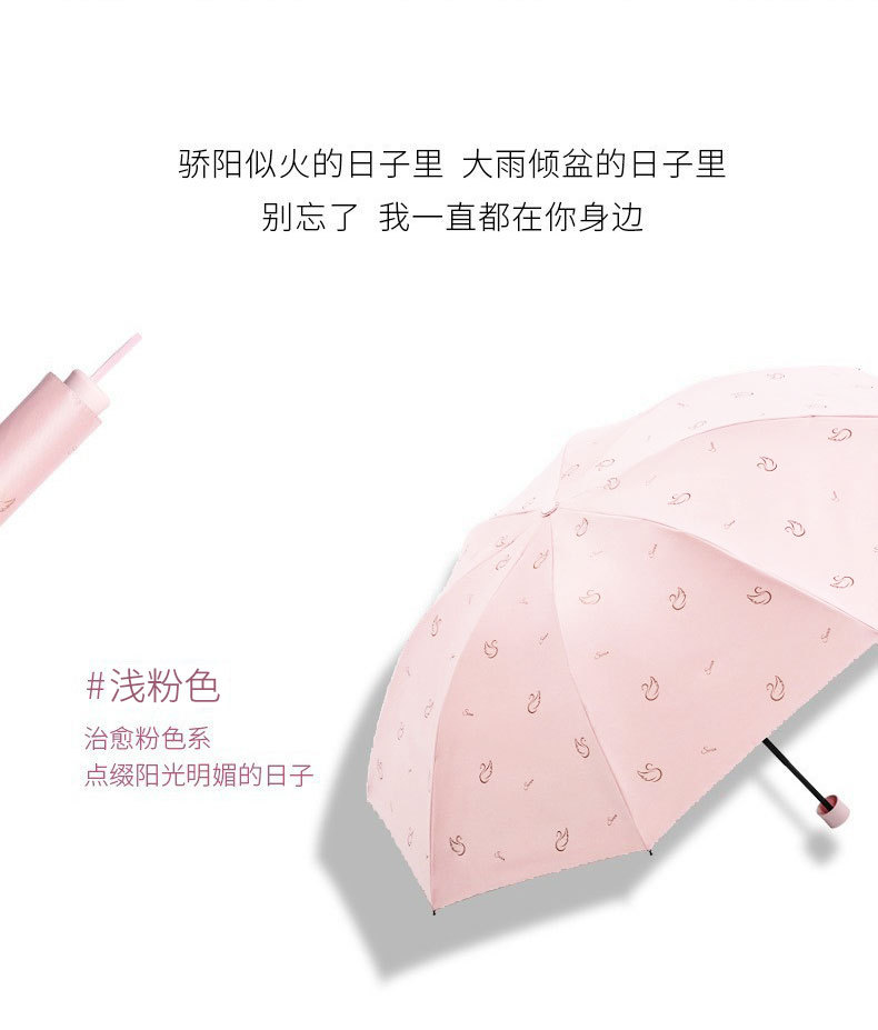 微信图片_20240510140552