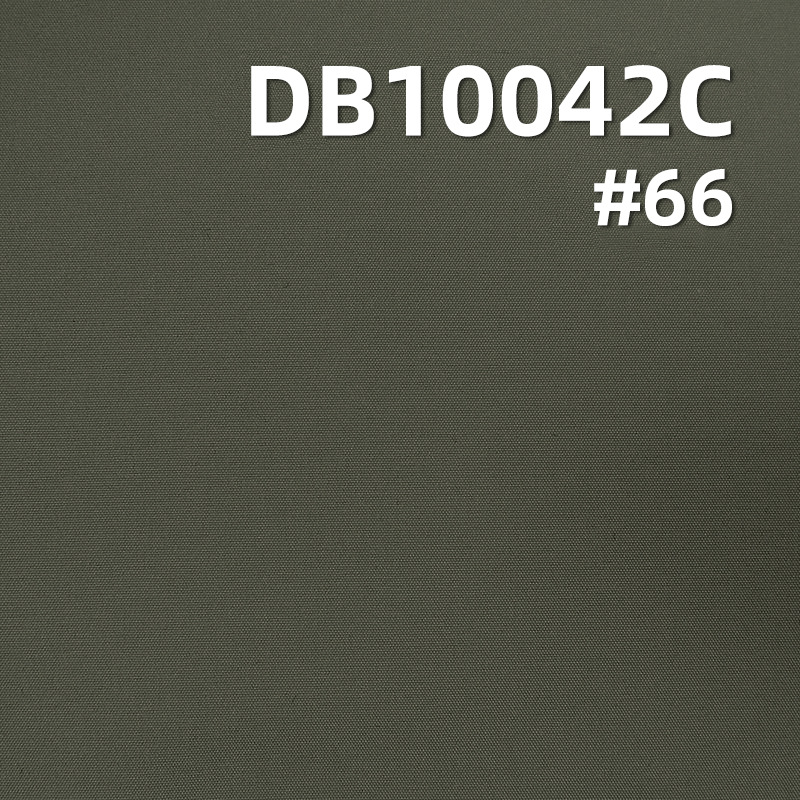 DB10042C-9