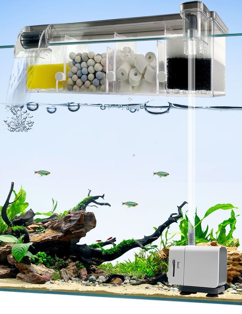 b5d99cc4-34c7-4a9b-a848-ae29e651db6c.jpe