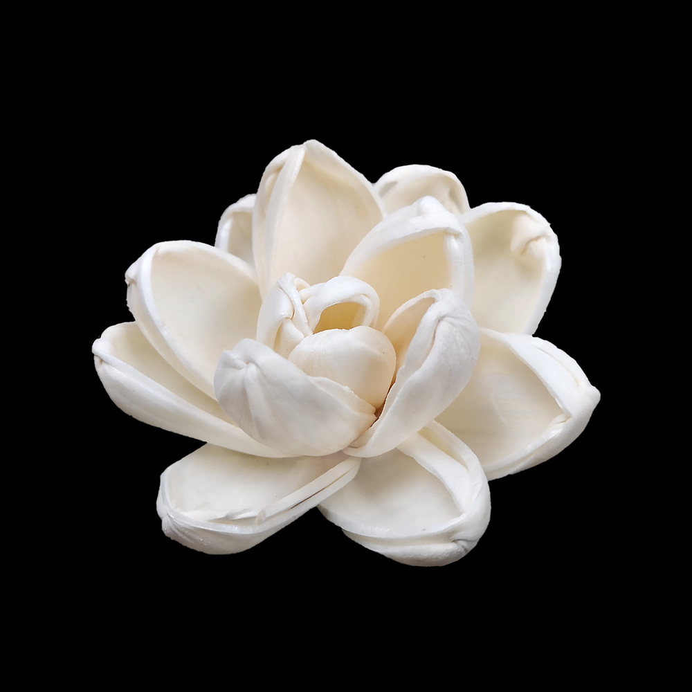 6cm小莲花