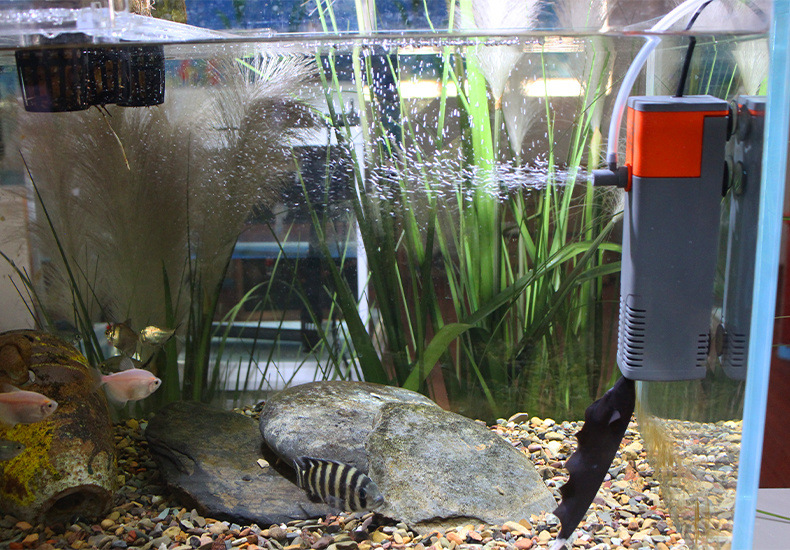 266d58ea-2c5c-4636-ba24-6b9d328e1693.jpe