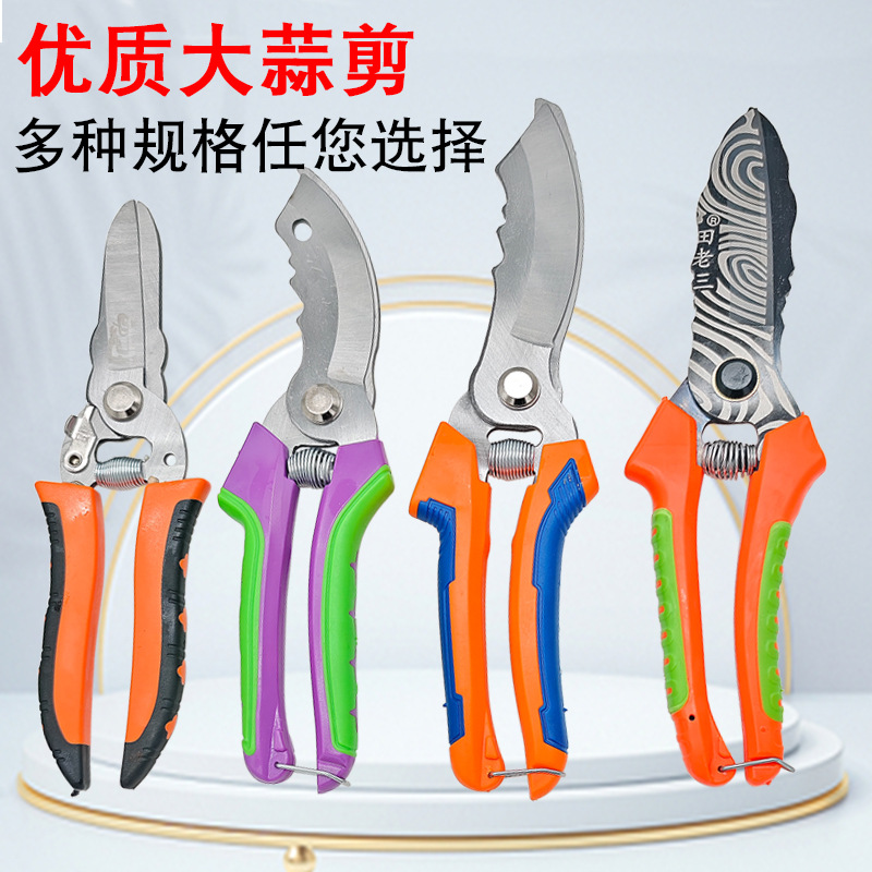 主图1.jpg