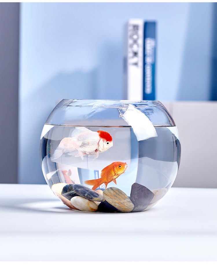 584724c7-d7ea-47b4-a291-37ccad0b63d6.jpe