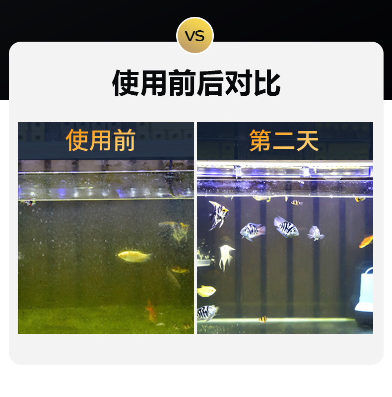 a40dd664-6467-4233-8210-dbc90e583594.jpe