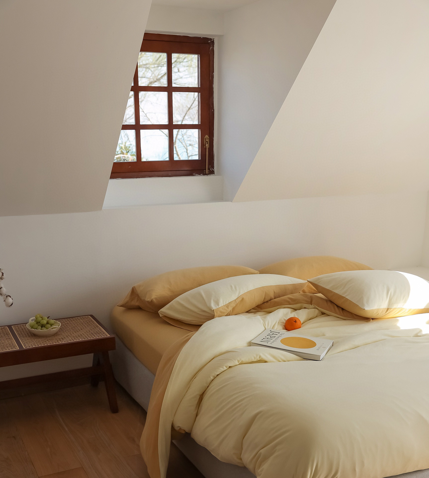 2022-11-22 172326(1).jpg