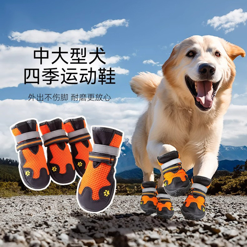 e9497d26-9adf-4b51-a4d5-4f11df9d28c1.jpe