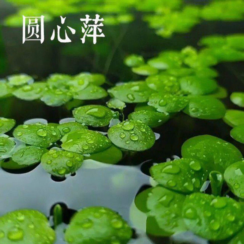 ef481187-f2c3-4c55-88e0-2b8fd596224e.jpe