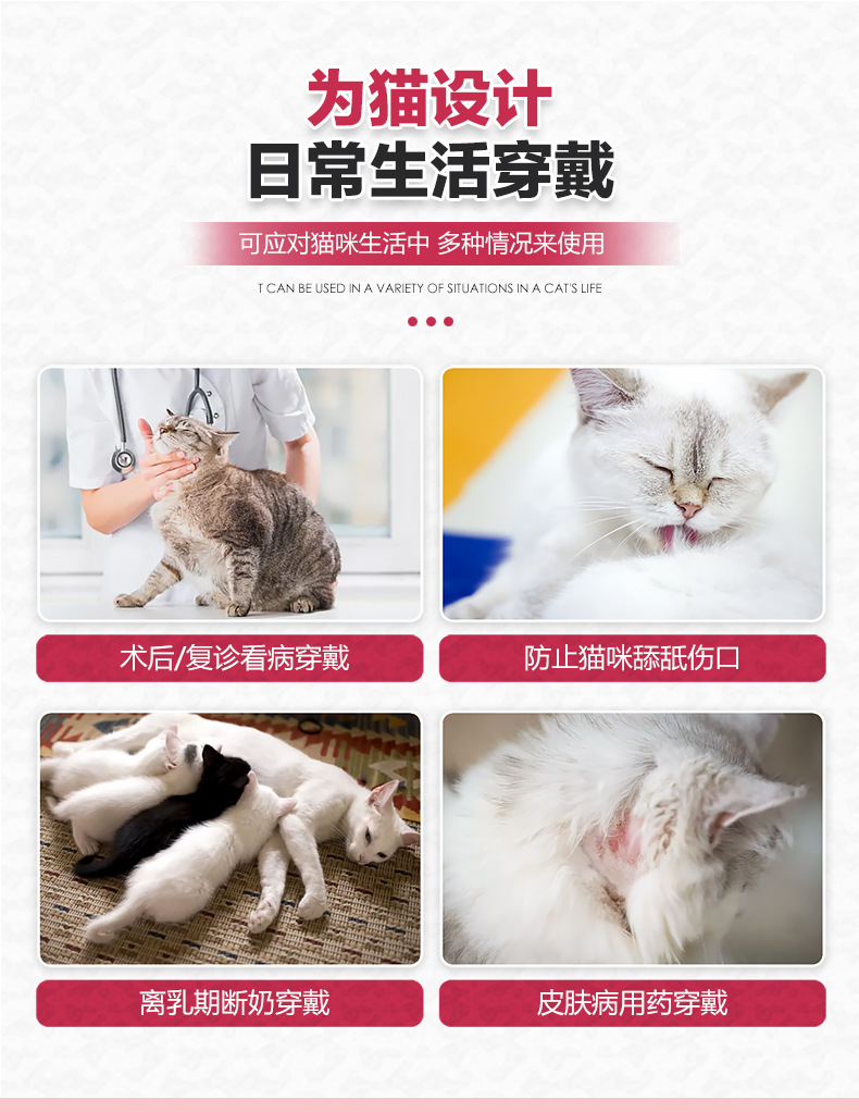 冰丝猫术后服_03.jpg
