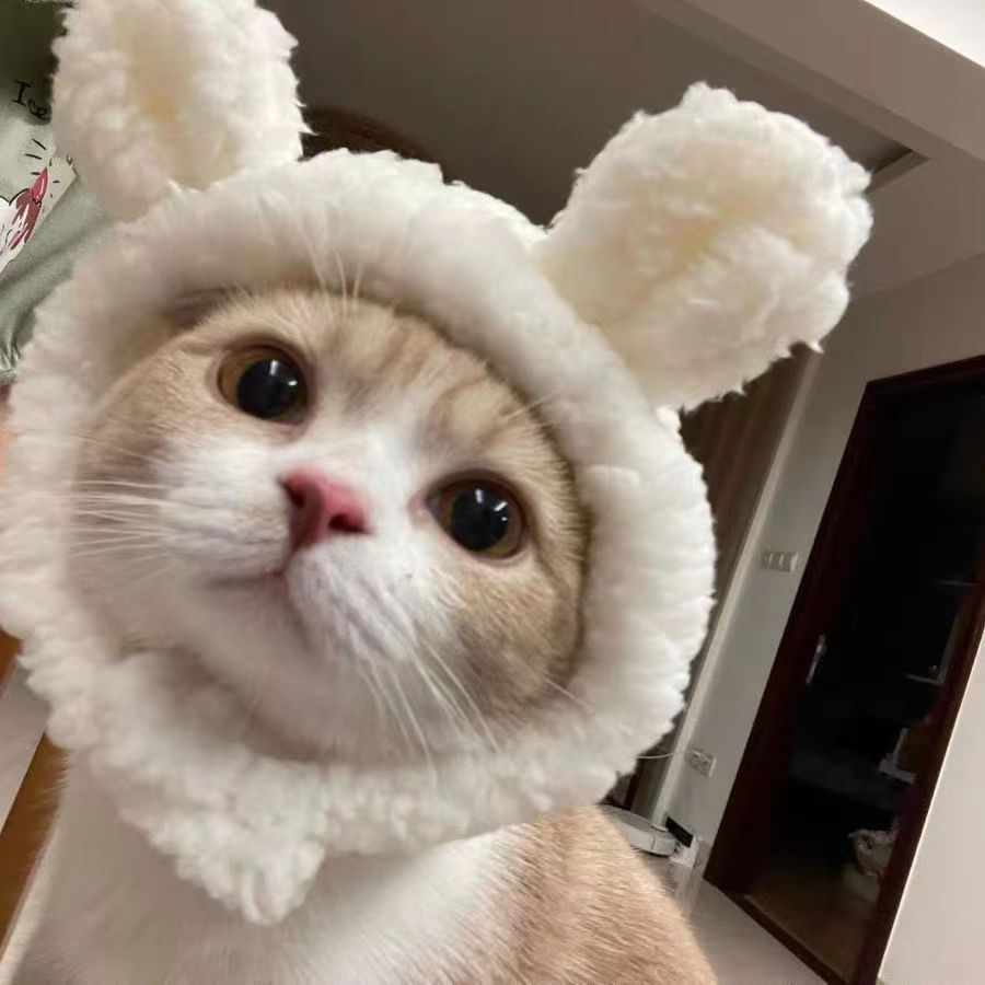 63ff40c2-cc1d-4a95-bbe1-b5814de71bdd.jpe