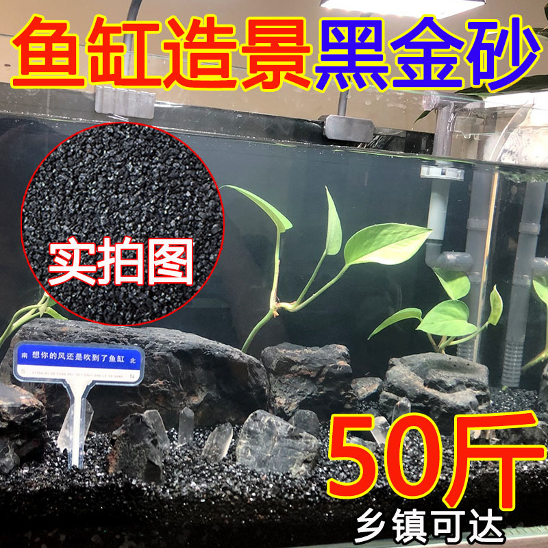 4c2520b8-39e6-47f6-94a2-f5035866db44.jpe