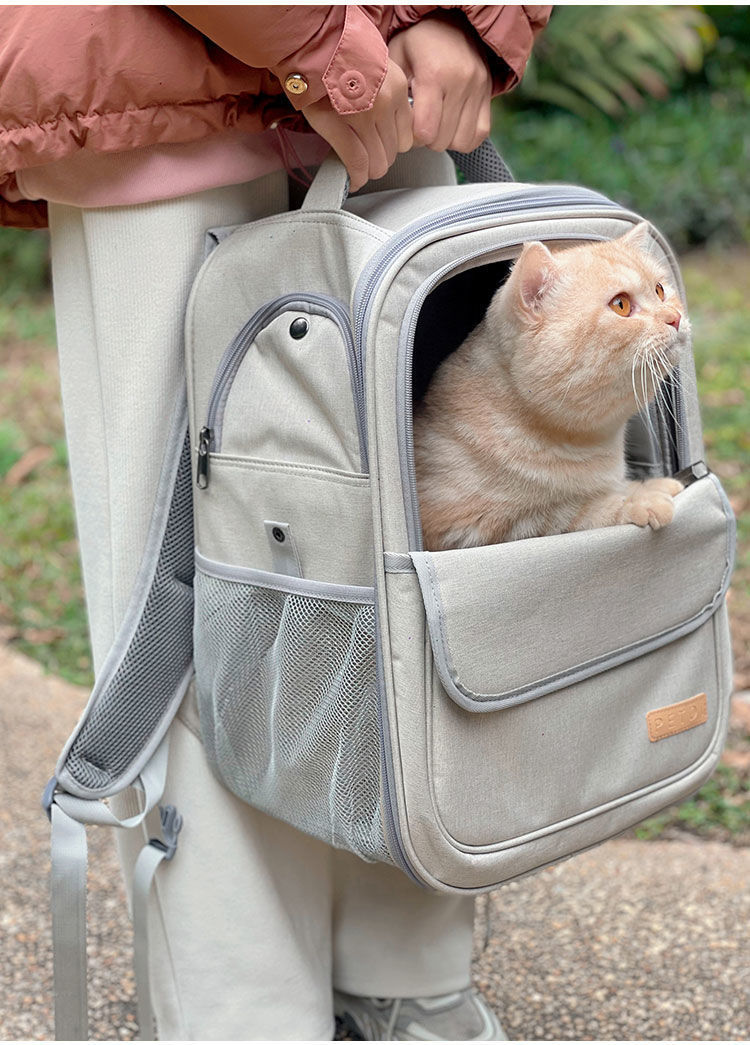 /O1CN011e7vAm1nAxAXxwMXb_!!2219395865050-0-cib.jpg?x-oss-process=image/format,png