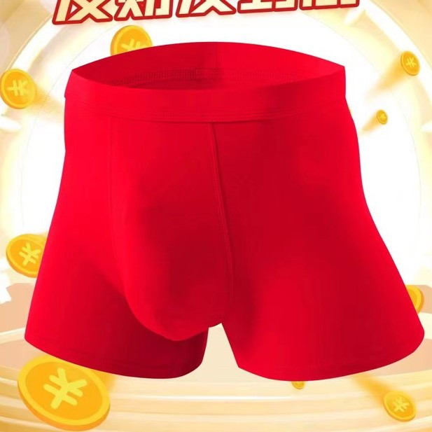 2024-12-29 22:15:29.jpg