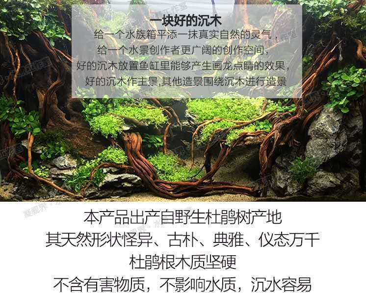 33e2980a-2e91-4b7c-8f74-cbc261e229a1.jpe