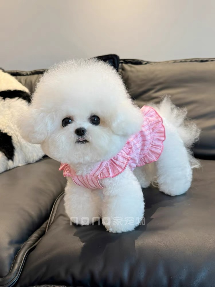 bd3b939f-59a7-4bb3-9431-7f62182d5fc3.jpe