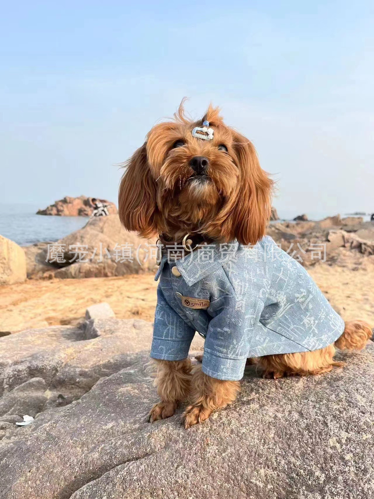 b3f66d0a475d793446ec6f08aeab2d