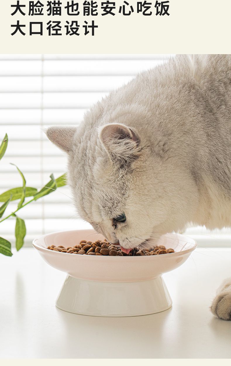 c019ba9b-fcf0-4e0d-b1db-10a29518b719.jpe