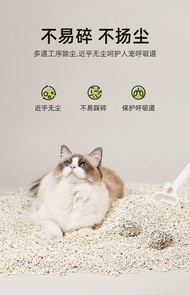 b785b3ad-e889-4233-88b0-7735427c06f4.jpe